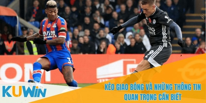 Kèo Giao Bóng – Tìm Hiểu Chi Tiết Về Loại Kèo Cá Cược Thú Vị 2 Sân bãi có thể ảnh hưởng đến kèo giao bóng trong cá cược